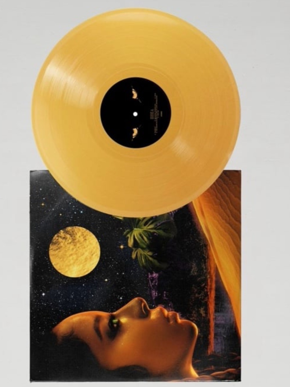 NEW - VICTORIA MONET - URBAN OUTFITTERS VINYL